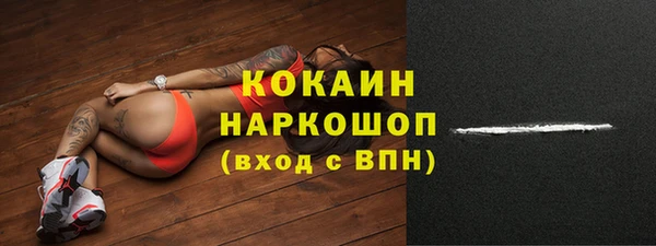 дживик Аркадак