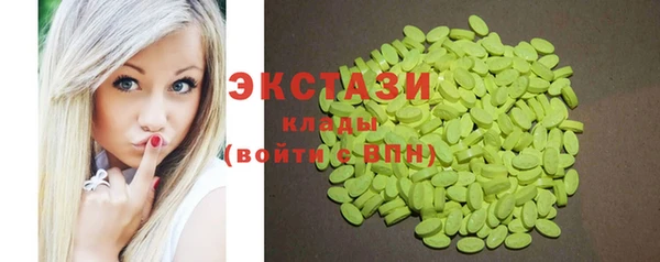 хмурый Арсеньев