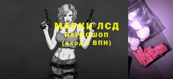 хмурый Арсеньев