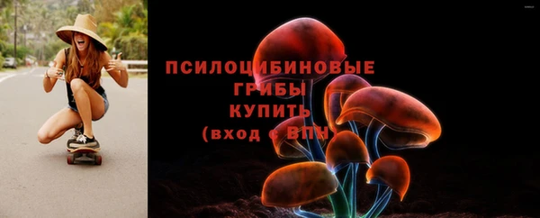 хмурый Арсеньев