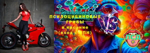 хмурый Арсеньев