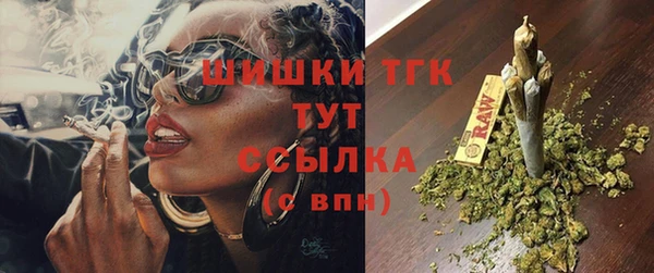 хмурый Арсеньев