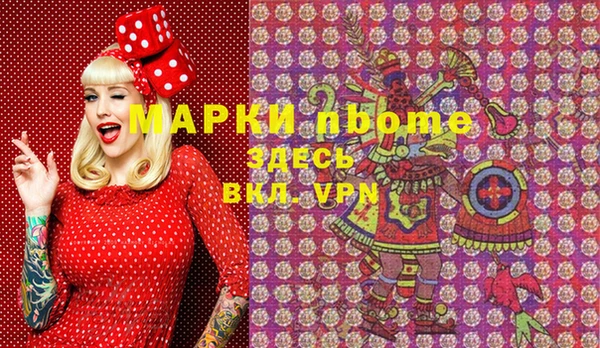 хмурый Арсеньев