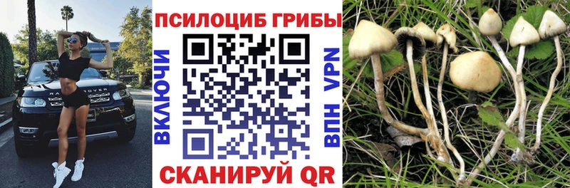 где продают наркотики  Армянск  Галлюциногенные грибы прущие грибы 